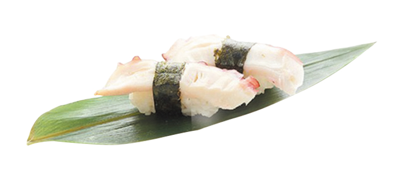 035 - NIGIRI POLPO